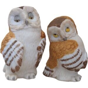 Franklin Mint Owl Salt & Pepper Shaker 1987 Noahs Ark Pair Two by 2 Pair Kitschy